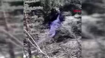 Bartın'da doğa harikasının tabiat parkı olması bekleniyor
