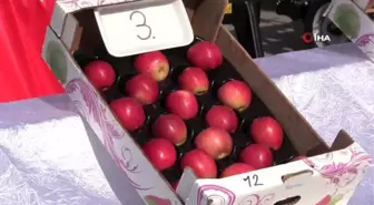 Niğde'de 'En iyi elma' yarışması düzenlendi