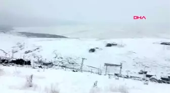 Ağrı'da ilk kar tendürek dağı'na düştü