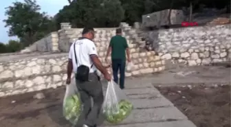 Antalya aşırlı adası'nın doğal zenginliği dağ keçileri