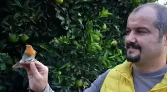 Antalya'da kuş halkalama çalışmaları başladı