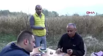 Antalya'da kuş halkalama çalışmaları başladı