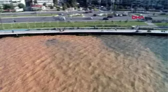 İzmir su borusu patladı, taşkın sularının ulaştığı izmir körfezi kahverengiye büründü