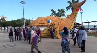 Mersin uluslararası narenciye festivali başladı