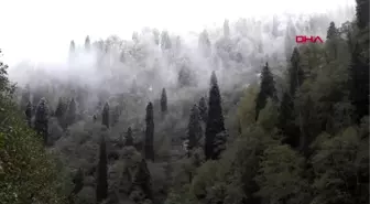 Rize ayder beyaza büründü, tatilciler karın keyfini sürdü