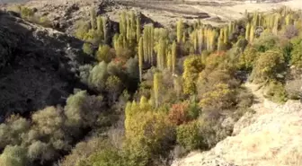 Uzandı Vadisi'nde yürüyüş parkuru - NİĞDE