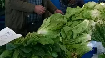 Ispanak zehirlenmeleri ile ilgili İstanbul İl Tarım ve Orman Müdürlüğü'nden açıklama