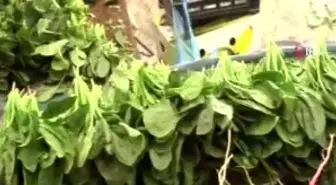 Ispanakların arasındaki yabani otlara dikkat