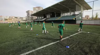 Yeşil sahada erken buluşma, öğrenmeyi hızlandırıyor