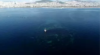 İstanbul'da depremlerle battı... Vordonisi adası havadan fotoğraflandı