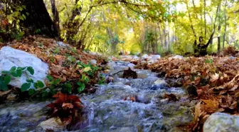 Antalya'da renklerin sonbahar dansı