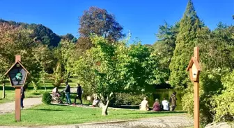 Atatürk Arboretumu'nda sonbahar manzaraları havadan görüntülendi