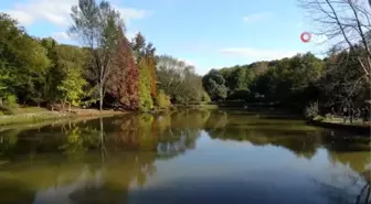 Atatürk Arboretumu'nda sonbahar manzaraları