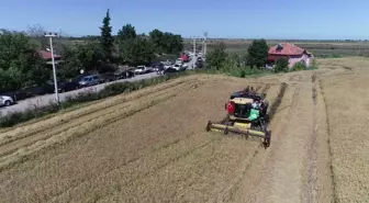 Çeltikte dane kaybı düştü, 2,8 milyon TL kazanç sağlandı