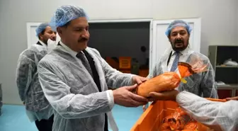 Fırıntaş sağlıklı ve ucuz ekmek üretiyor