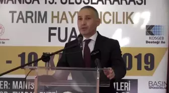 Anıt ağaçtan elde edilen zeytin yağının geliri ağaçlandırmada kullanılacak