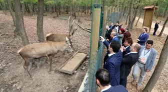 Kuzey Makedonyalı belediye başkanları Kocaeli'ye hayran kaldı