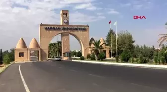 Şanlıurfa harran üniversitesi'nde toplu istifa