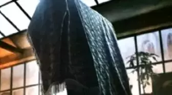 Güzelliğin Portresi Filmi