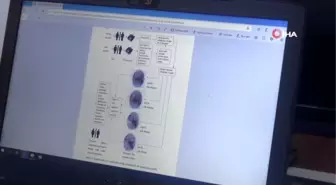 Parmak izinden cinsiyet ve yaş tespitini başarılar