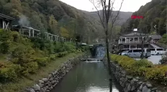 Sakarya sapanca'da hayvanların kafeste tutulduğu iddiası