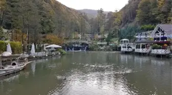 Sapanca'da hayvanların kafeste tutulduğu iddiası