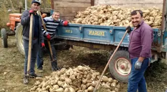 Simav'da şeker pancarı üretimi durma noktasına geldi