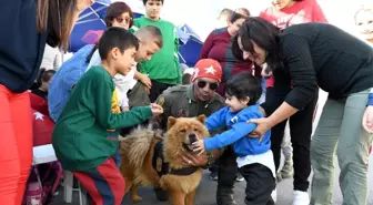 Mersin Büyükşehir'in arama-kurtarma köpekleriyle engelli çocuklara terapi