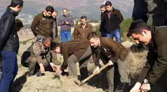 Mudurnu'da ormancılık faaliyetleri