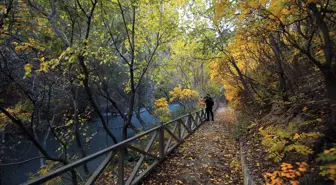 Tohma Kanyonu sonbaharda doğa tutkunlarının uğrak mekanı