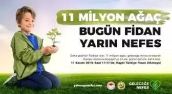 11 milyon fidan hedefi, 13 milyonu aştı