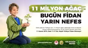 11 milyon fidan hedefi, 13 milyonu aştı