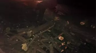 Ağaç yüklü traktör ile otomobil çarpıştı: 3 yaralı