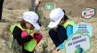'11 Milyon Ağaç; Bugün Fidan, Yarın Nefes' programı