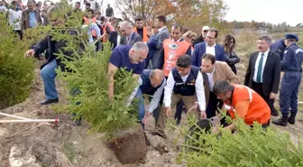 '11 Milyon Ağaç; Bugün Fidan, Yarın Nefes' Programı