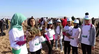 '11 Milyon Ağaç; Bugün Fidan Yarın Nefes' programı