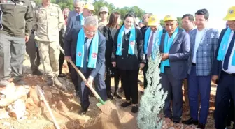 Adıyaman'da, 175 bin fidan toprakla buluştu