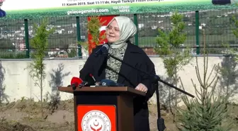 Aile, Çalışma ve Sosyal Hizmetler Bakanı Selçuk, Sinop'ta fidan dikimine katıldı