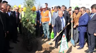 Aksaray'da 'Geleceğe Nefes' sloganıyla 90 bin fidan toprakla buluşturuldu
