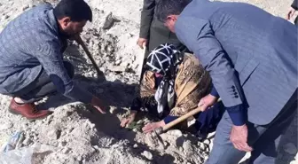 Azez şehidi için fidan dikildi