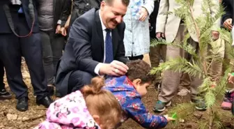 Balıkesir'de, 377 bin fidan toprakla buluşturuldu