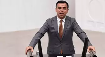 Barış Yarkadaş'ın fidan dikimi iddiasını Orman Genel Müdürü yalanladı
