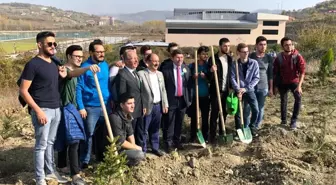 Bartın'da 5 bin fidan 'Geleceğe Nefes' olmak için dikildi