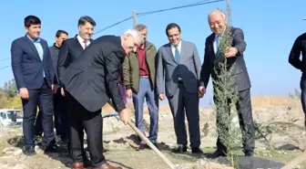 Battalgazi Belediyesi bin fidanı toprakla buluşturdu