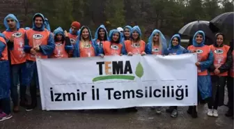 Binlerce İzmirli yağmur altında yanan ormanlık alanlara fidan dikti