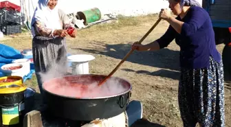 Bir gün uğraşıp tüm kış boyunca yiyorlar