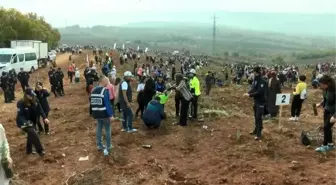 Bursa'da 300 bin fidan toprakla buluşturuldu