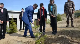Emniyet müdürlüğünden fidan dikimi