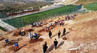 HKÜ'de fidanlar toprakla buluştu