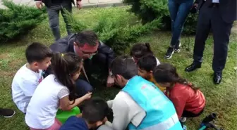 İstanbul Anadolu Adalet Sarayı'nın bahçesine 500 fidan dikildi